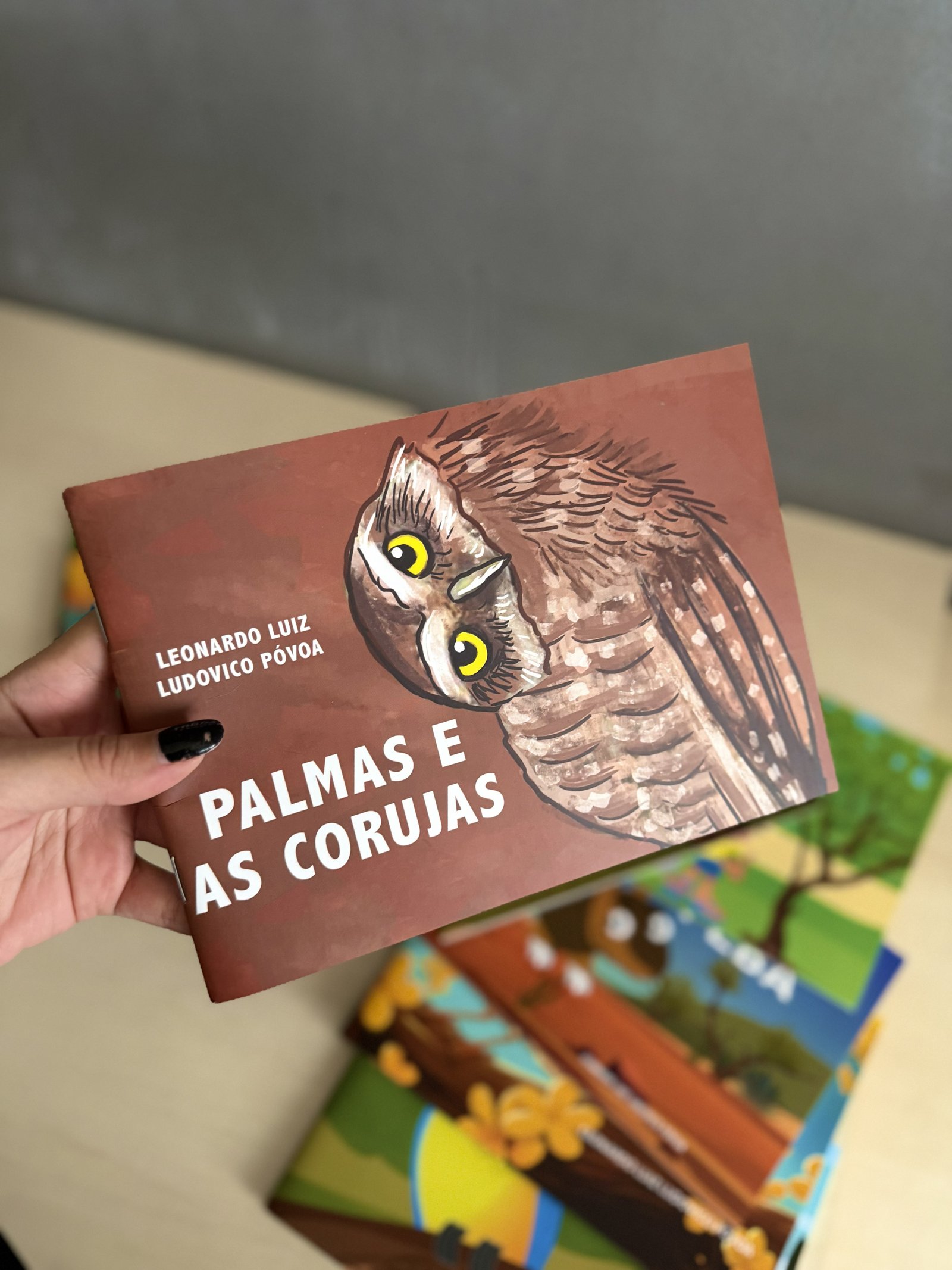 Palmas e as Corujas
